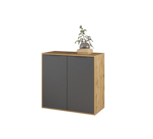 Комод 2Д Нітро